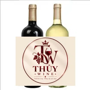 Vang Chile SYN Classique Merlot