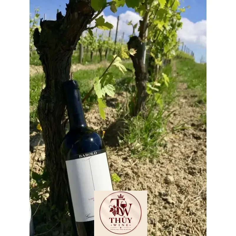 Vang ý GIANNI GAGLIARDO BAROLO LAZZARITO VIGNA PREVE
