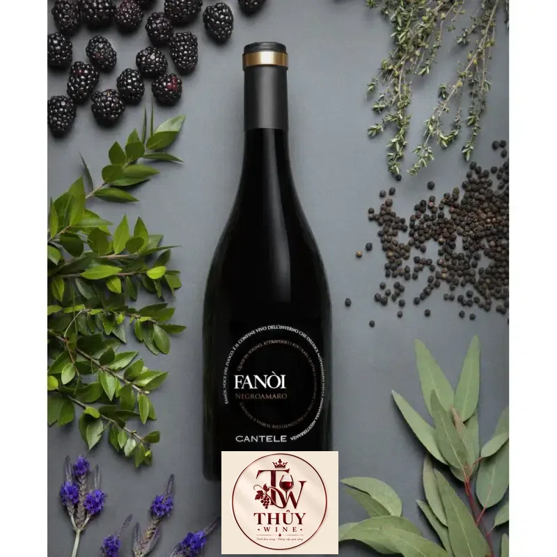 Địa chỉ bán vang y fanoi negroamaro primitivo cantele cao cap giá rẻ tại Sài Gòn