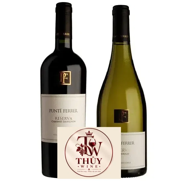Vang Chile Punti Ferrer Chardonnay