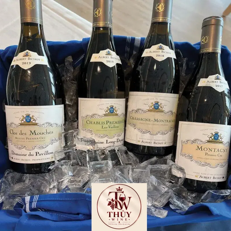Địa chỉ bán vang phap cote de nuits villages albert bichot giá rẻ nhất