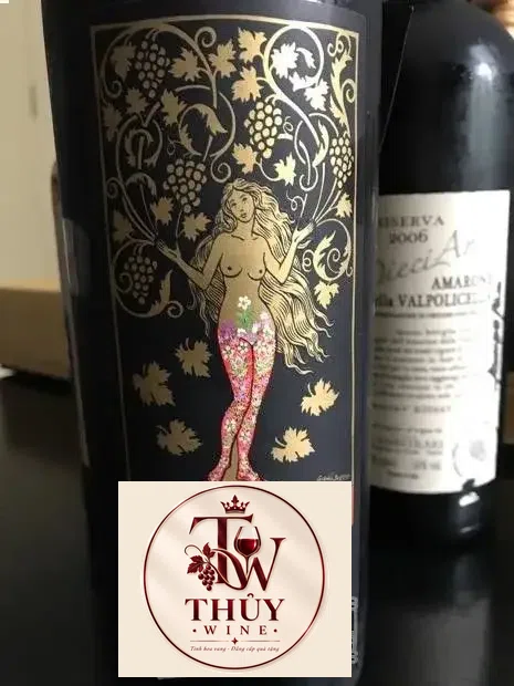 Vang Ý AMARONE MATER