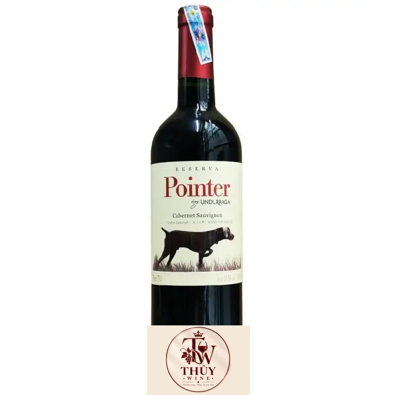 Vang Chile POINTER UNDURRAGA CABERNET SAUVIGNON