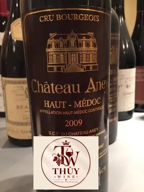 Vang Pháp Chateau Aney HAUT MEDOC