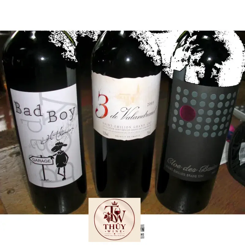 Vang Pháp Thunevin Bad Boy Bordeaux