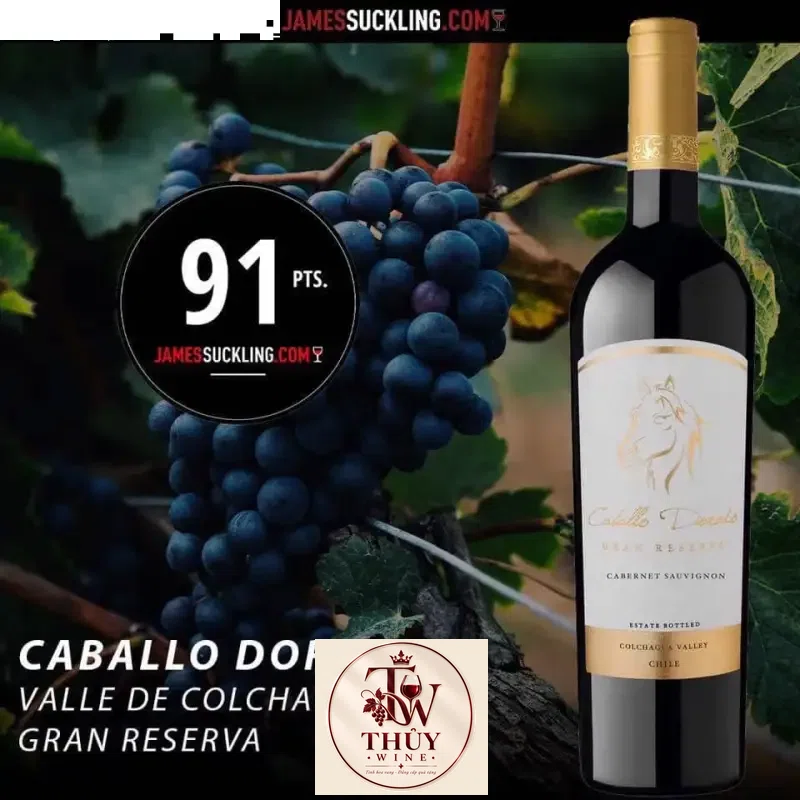 Vang Chile Caballo Dorado Reserva Cabernet Sauvignon