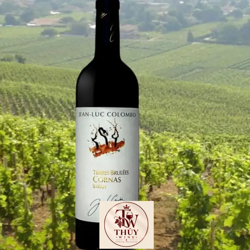 Địa chỉ bán vang phap jean luc colombo terres brulees cornas giá rẻ tại Hà Nội