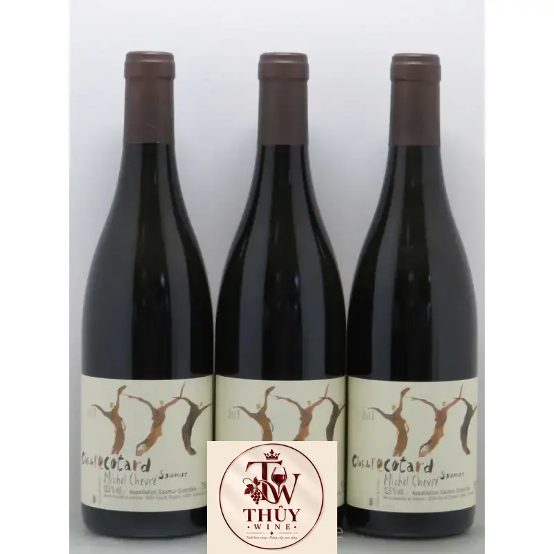 Vang Pháp Clos de l Ecotard Saumur Thierry Germain