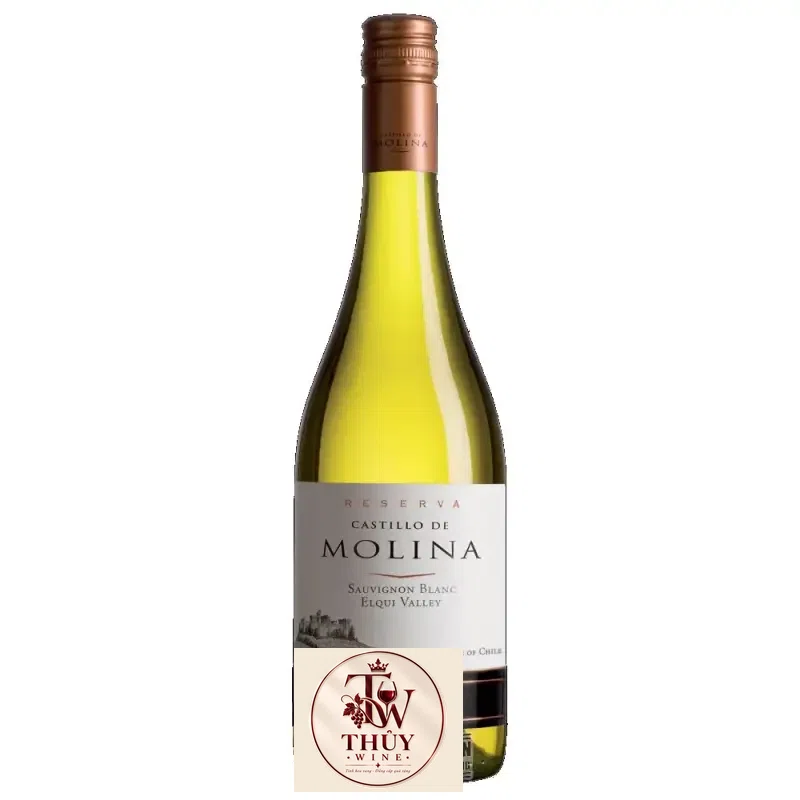 Mua vang chile castillo de molina san pedro reserva red  white giá rẻ tại Hà Nội