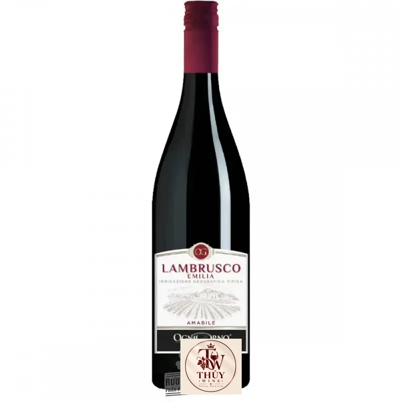 Vang Ý Lambrusco dell Emilia Ogni Giorno