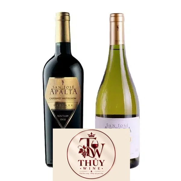 Vang Chile San Jose Apalta Reserva Chardonnay