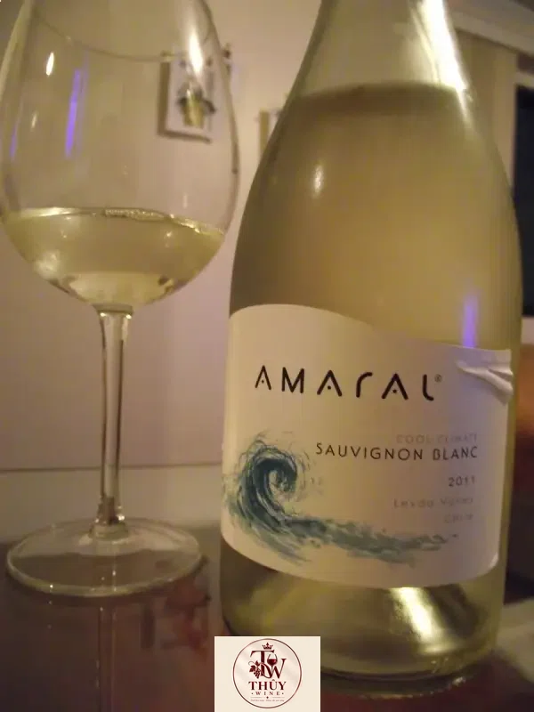 Vang Chile MontGras AMARAL Sauvignon Blanc
