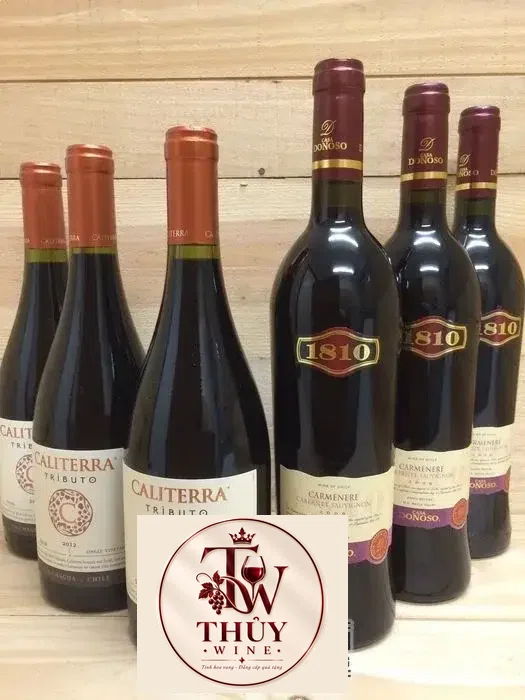 Vang Chile CALITERRA Tributo Syrah