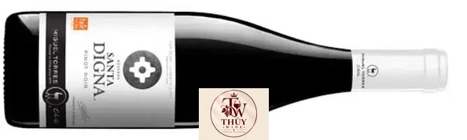 Vang Chile Santa Digna Pinot Noir