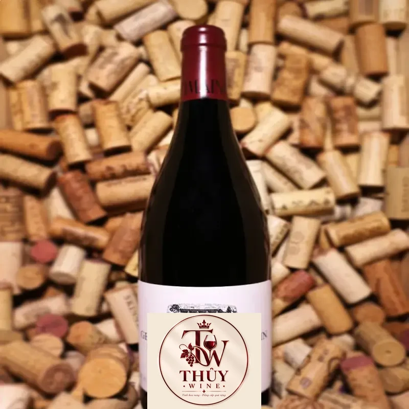Địa chỉ bán vang phap gevrey chambertin st cru aux combottes domaine dujac giá rẻ nhất