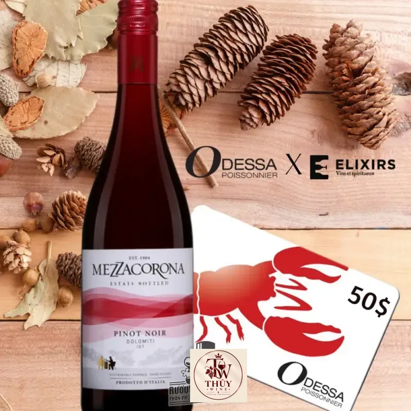 Địa chỉ bán vang y mezzacorona pinot noir dolomiti igt giá rẻ tại Sài Gòn