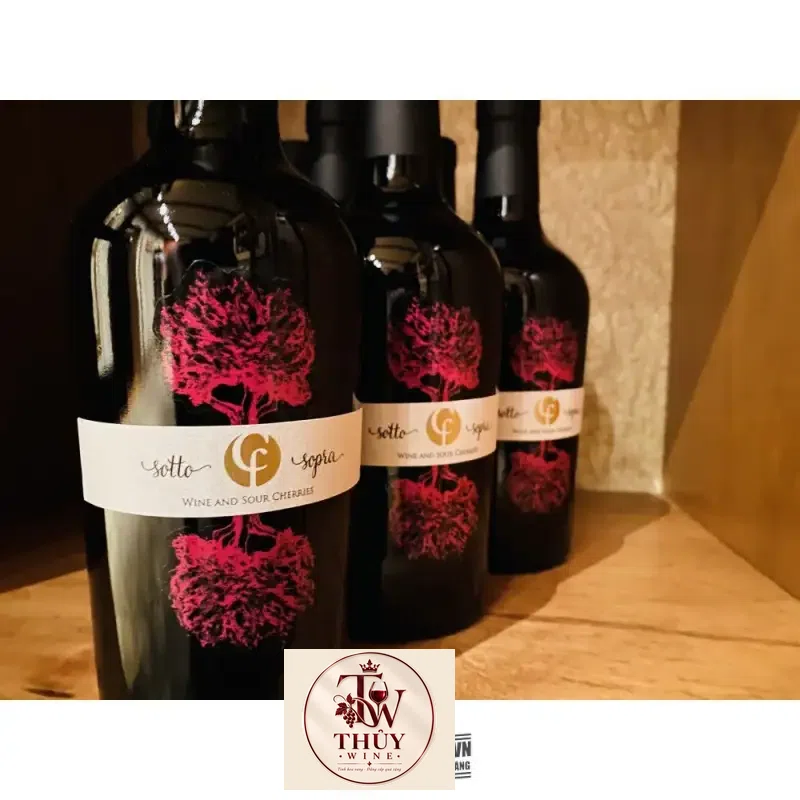 Mua vang y sotto sopra collefriso ngot hao hang ở đâu giá rẻ nhất