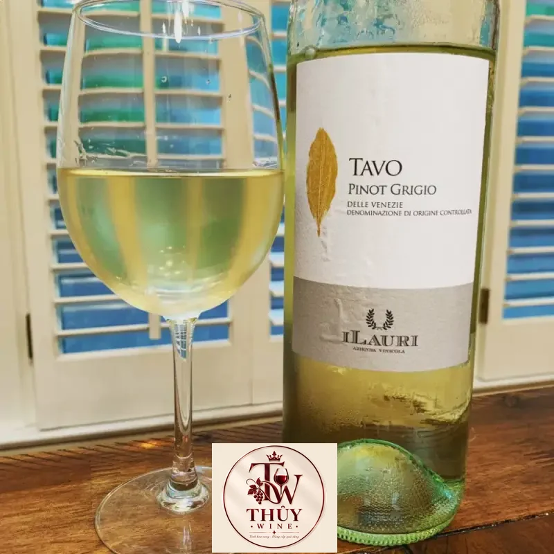 Địa chỉ mua vang y ilauri tavo pinot grigio giá rẻ nhất