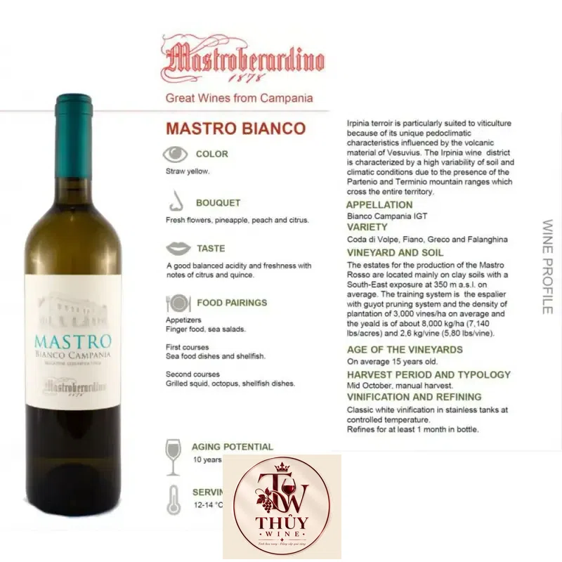 Mua vang y mastro bianco campania mastroberardino giá rẻ tại Sài Gòn