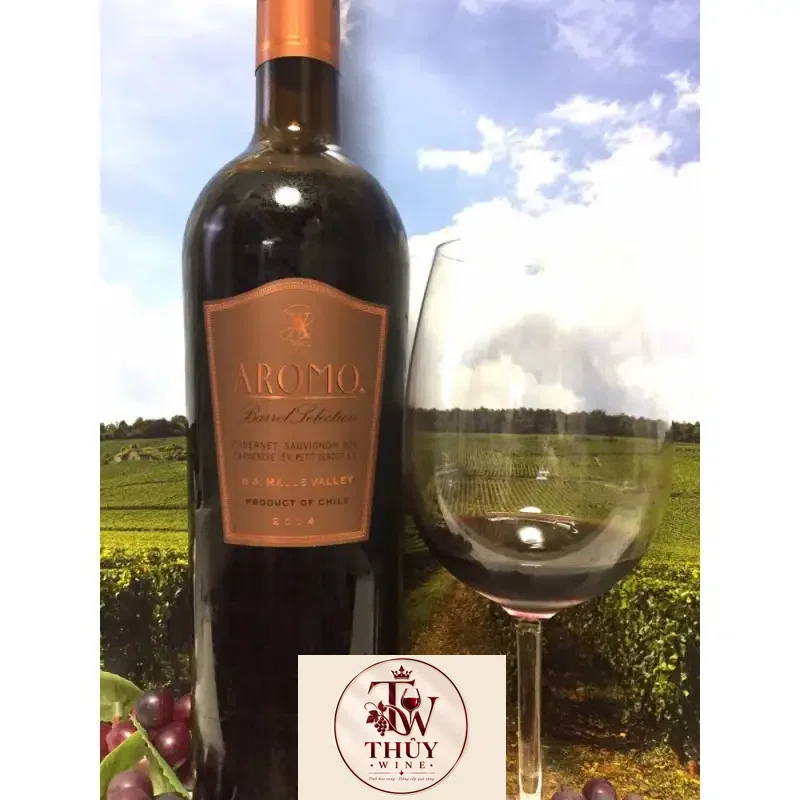 Địa chỉ bán vang chile aromo barrel selection blend giá rẻ tại Hà Nội