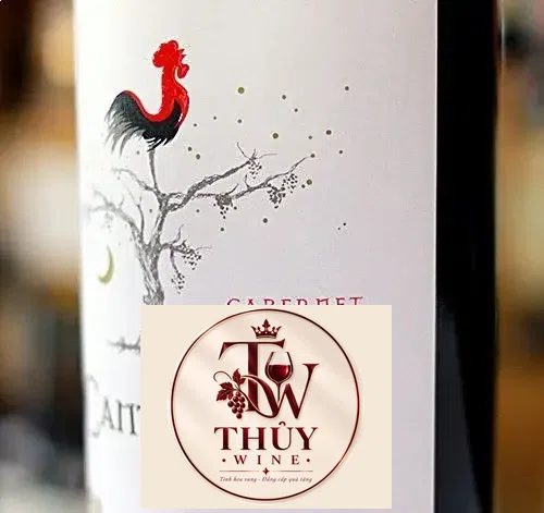 Vang Chile Cantoalba Cabernet Sauvignon