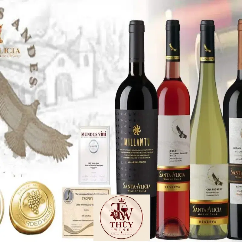 vang chile santa alicia reserva red white chiet khau cao mua ở đâu giá rẻ nhất
