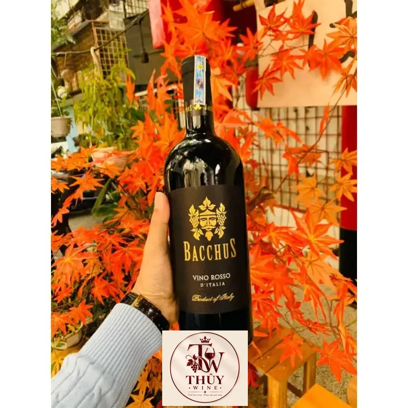 Địa chỉ mua vang y bacchus vino rosso igp gia tot giá rẻ nhất