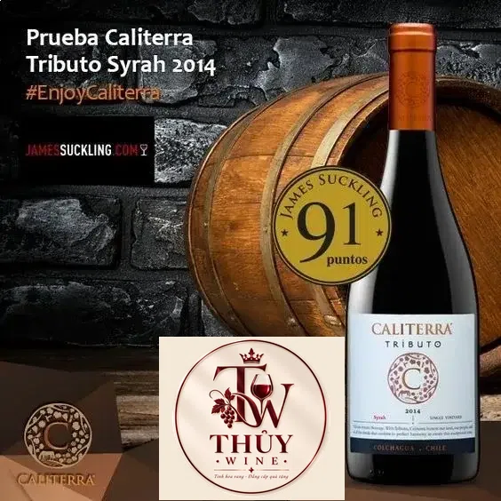 Vang Chile CALITERRA Tributo Syrah