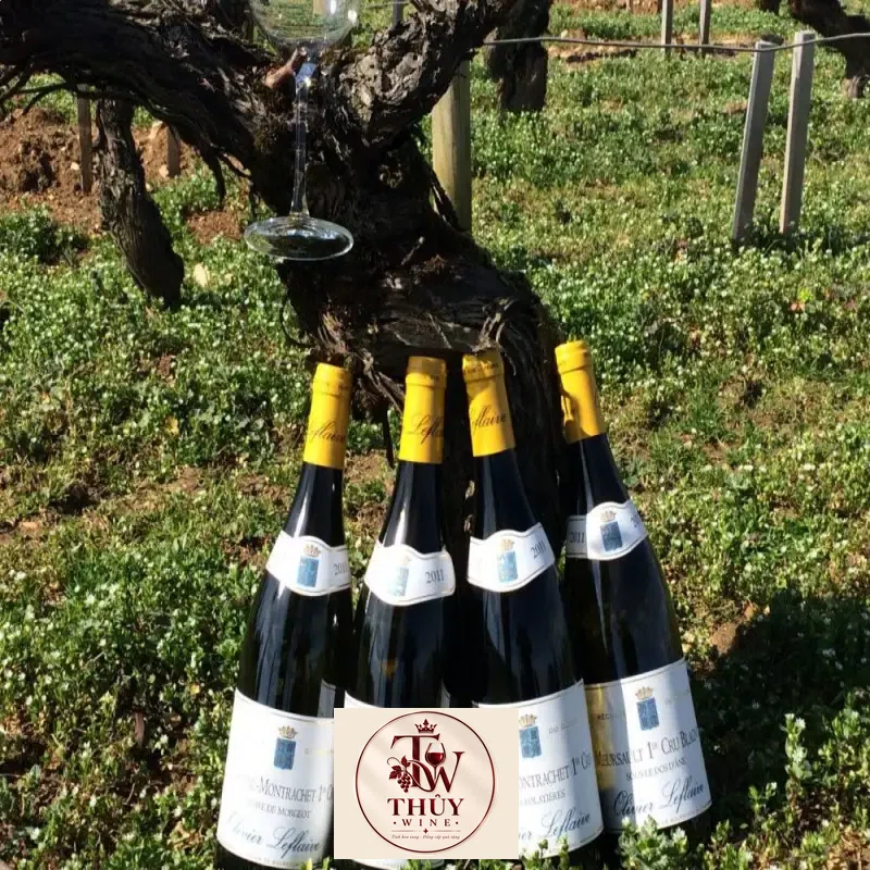 Giá vang phap olivier leflaive meursault blagny sous le dos dane