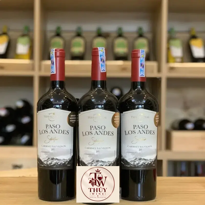 Địa chỉ bán vang chile paso los andes reserva red do giá rẻ nhất