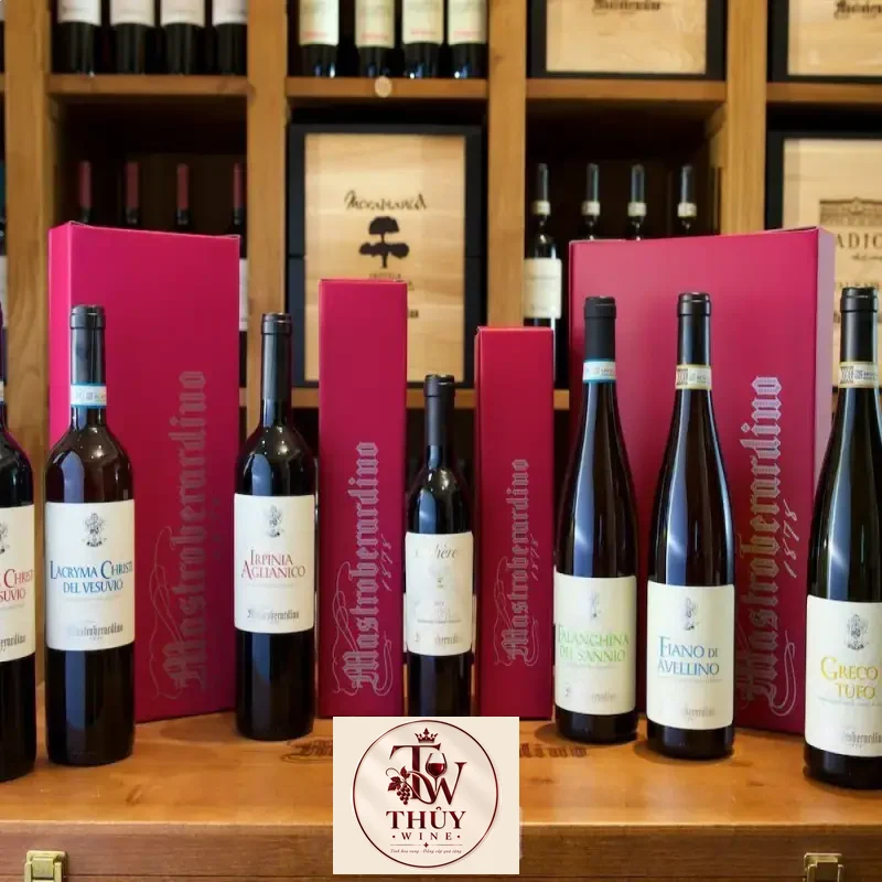 Mua vang y falanghina del sannio mastroberardino giá rẻ tại Hà Nội