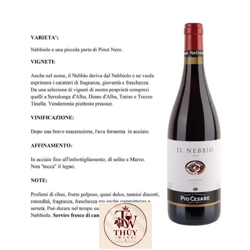 ruou vang y y pio cesare il nebbio langhe mua ở đâu giá rẻ nhất
