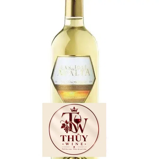 Vang Chile San Jose De Apalta Trandition Sauvignon Blanc