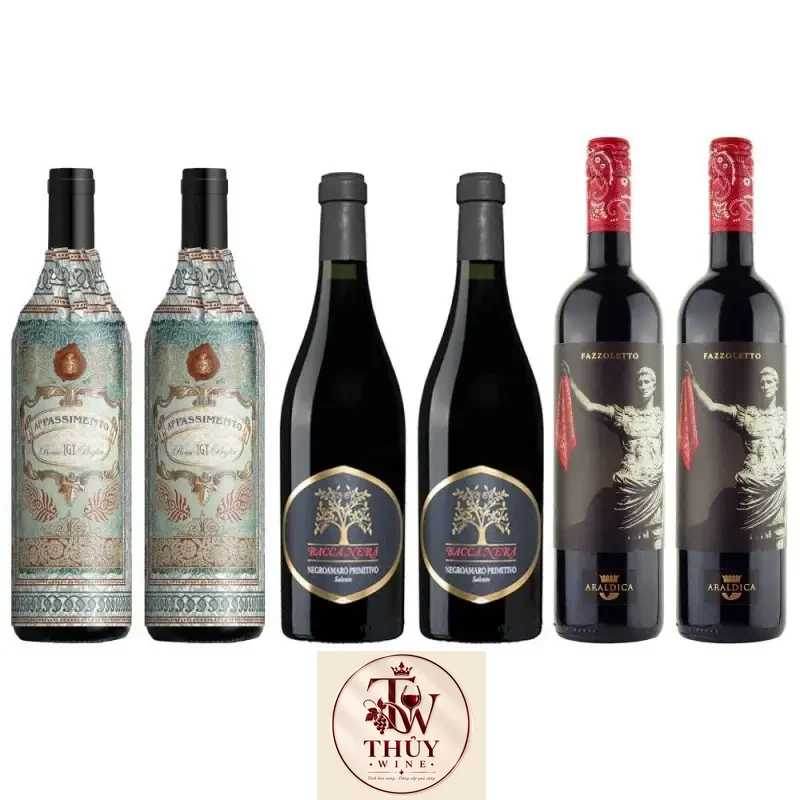 Vang Ý Appassimento Rosso Puglia IGT Botter Cao cấp