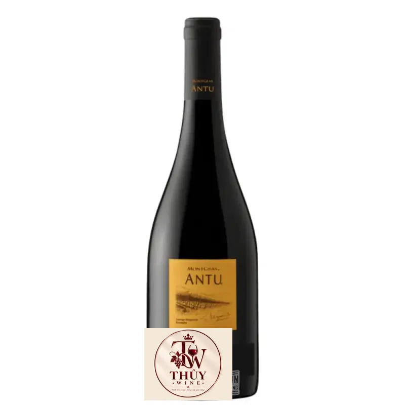 Vang Chile Antu Shiraz