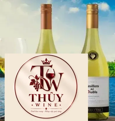 Vang Chile Casillero Del Diablo Chardonnay