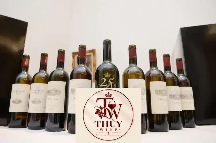 Vang Ý Ornellaia 25 Year Anniversary 1985 2010