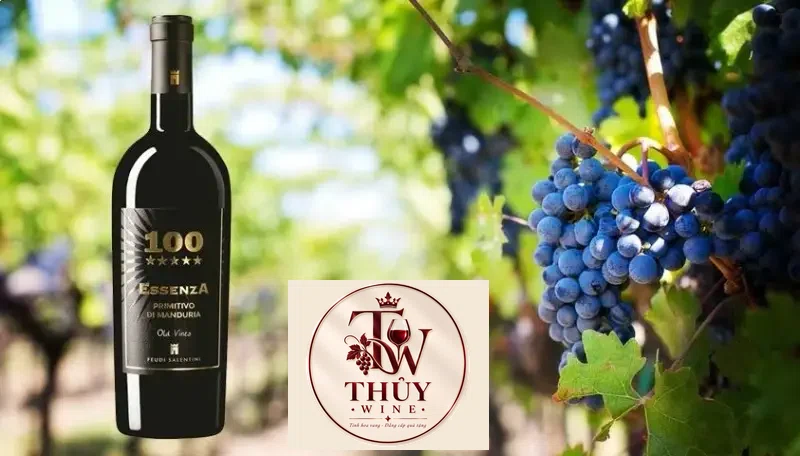 Káº¿t quáº£ hÃ¬nh áº£nh cho giÃ¡ vang Ã½ essenza 100 á» hÃ ná»i