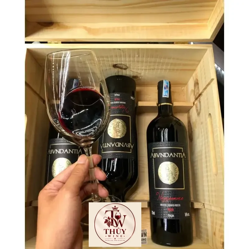 vang-y-16-do-abvndantia-negroamaro-puglia