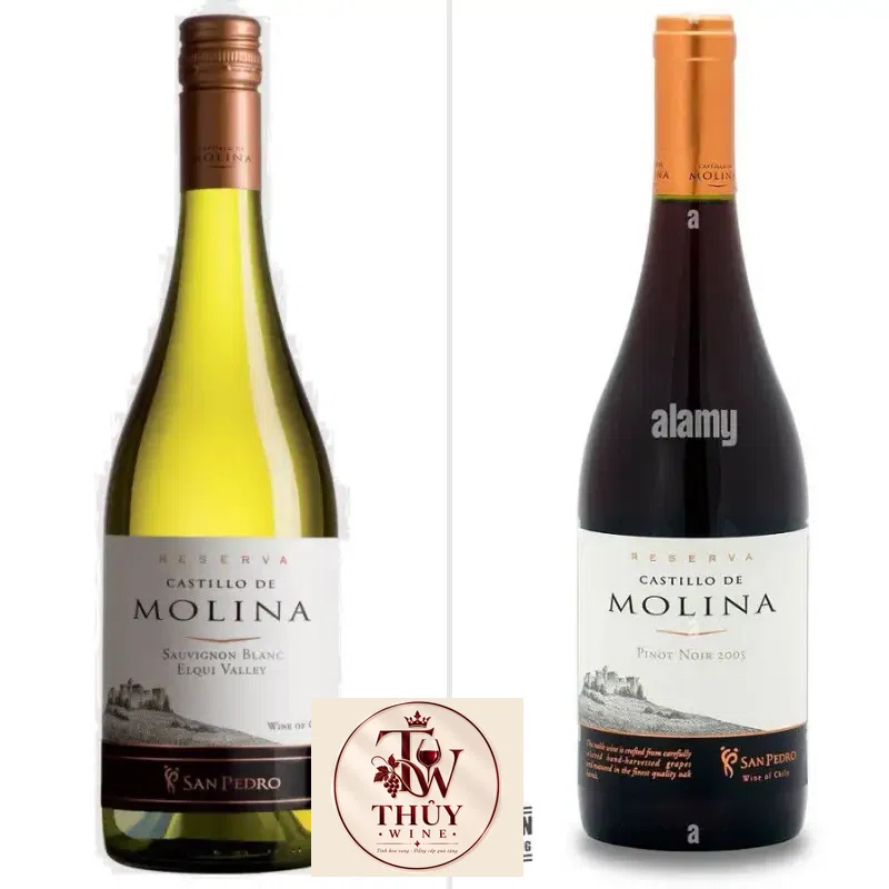 Vang Chile Castillo de Molina San Pedro Reserva Đỏ - Trắng