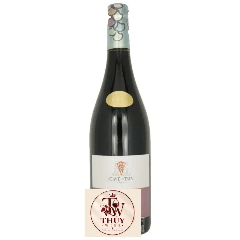Địa chỉ bán note cave de tain giá rẻ tại Hà Nội