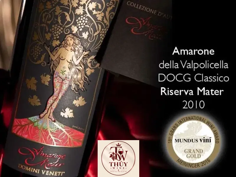 Vang Ý AMARONE MATER
