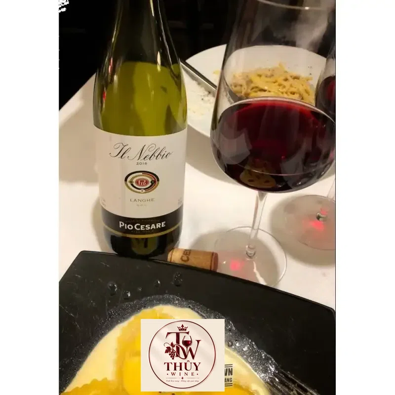 vang-y-il-nebbio-pio-cesare-langhe