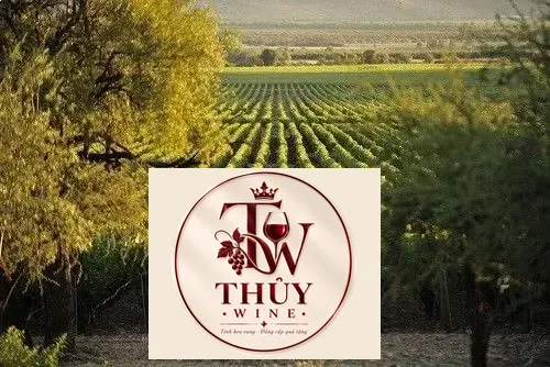 Vang Chile MONTGRAS Merlot