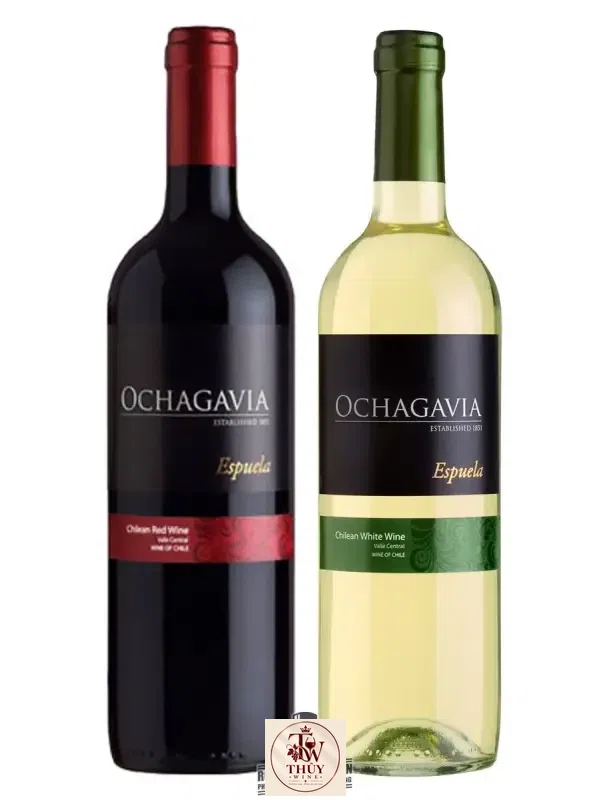 Kết quả hình ảnh cho vang chile ochagavia espuela white