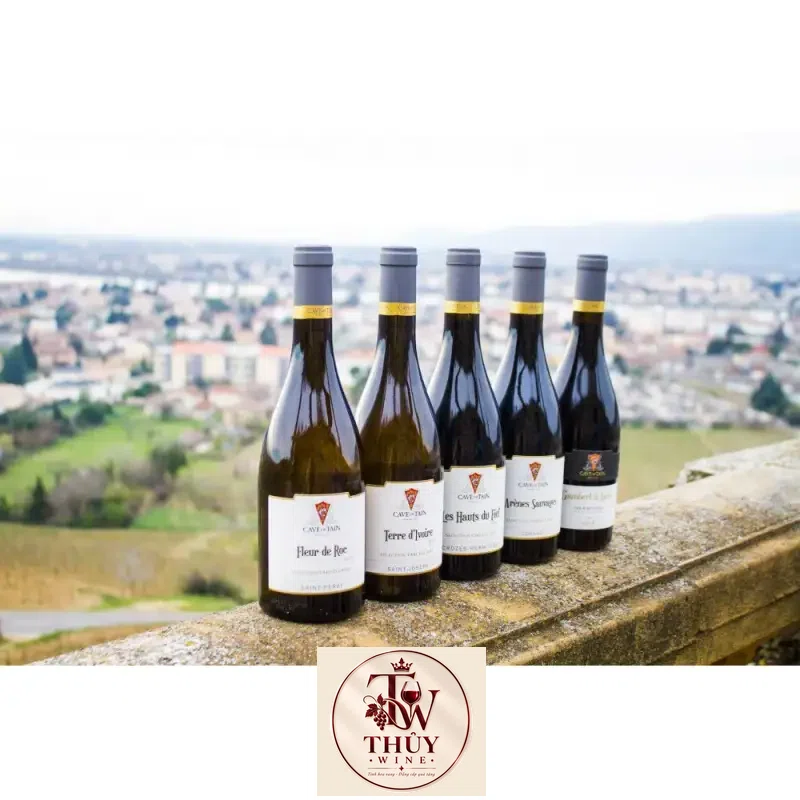 Địa chỉ mua vang phap les hauts du fief crozes hermitage giá rẻ nhất