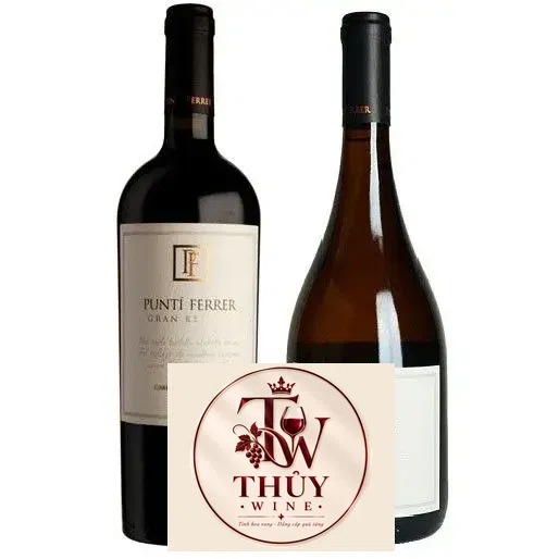 Vang Chile Punti Ferrer Gran Reserva Chardonnay
