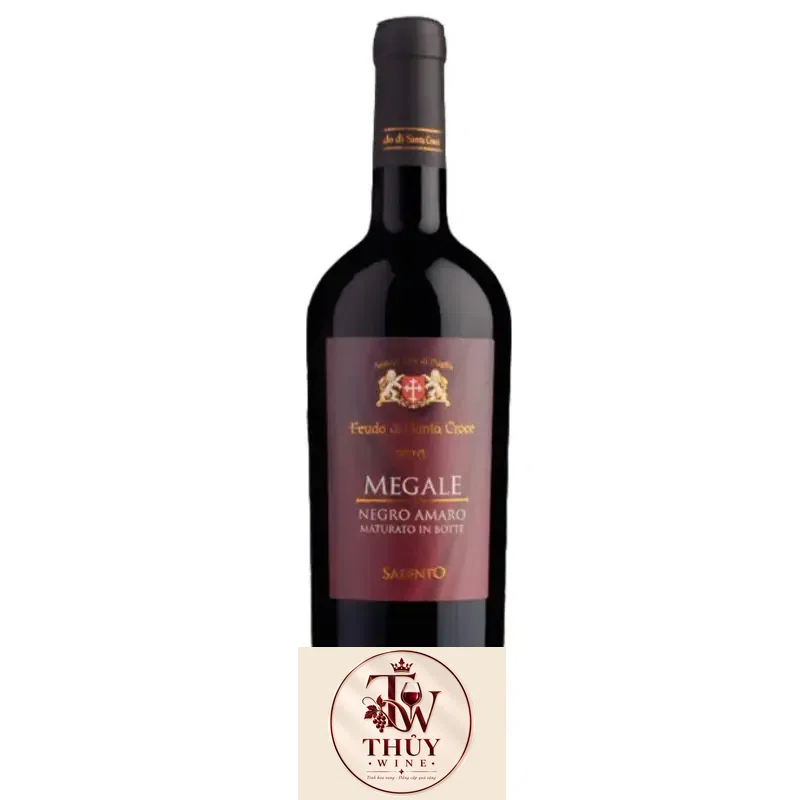 Vang Ý Megale 2016 NegroAmaro Salento Tinazzi