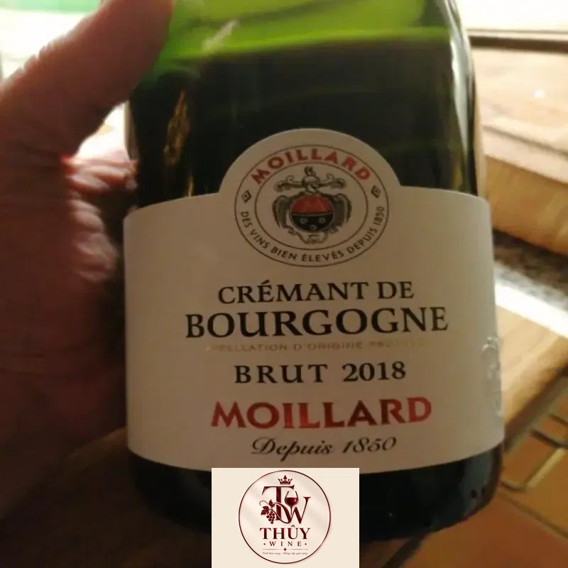 Vang Pháp MOILLARD BOURGOGNE PINOT NOIR