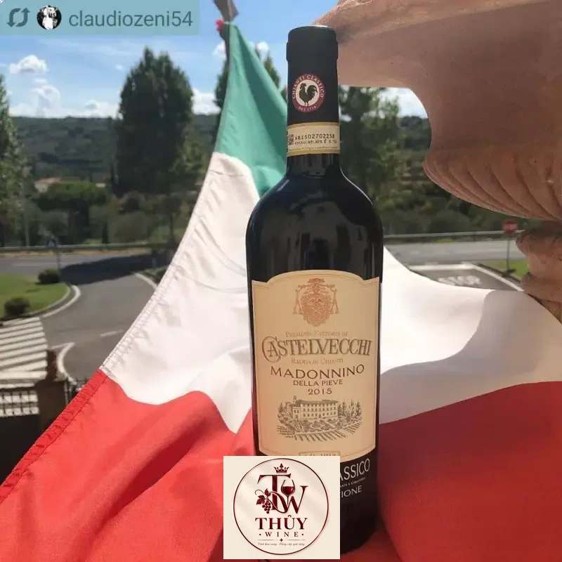 Địa chỉ bán vang y castelvecchi madonnino chianti classico gran selezione giá rẻ tại Sài Gòn